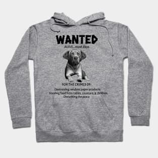 Wanted Poster for Labrador Retriever Hoodie